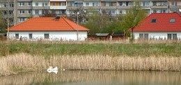 Sch?nau: Einfamilienhaus-Standort mit Teichblick. Foto: Gernot Borriss