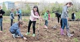 Kinder der 91. Grundschule helfen bei der Pflanzaktion Foto: Andr? Kempner